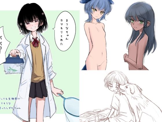 Silveredsteel＆らいどないん 公開絵全部パック vol.07 （2025年下半期）