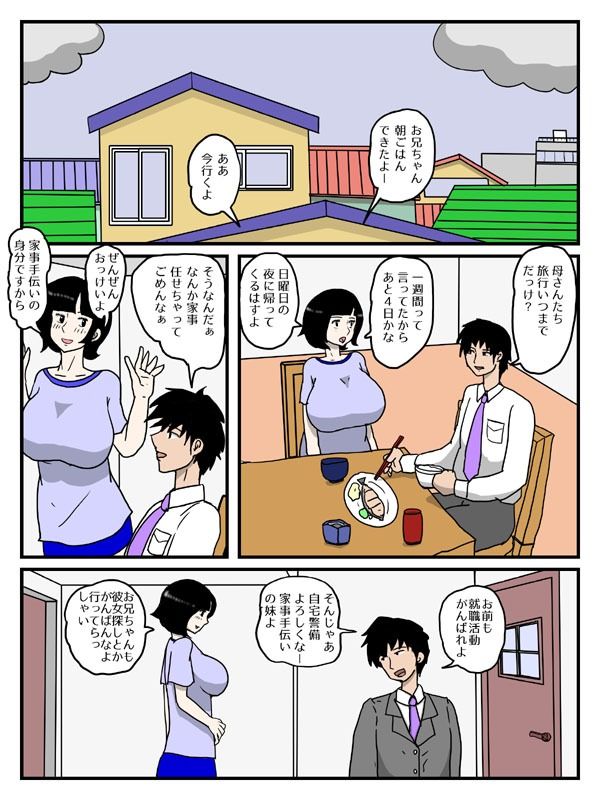 行き遅れの妹が玩具でオナニーしていたら