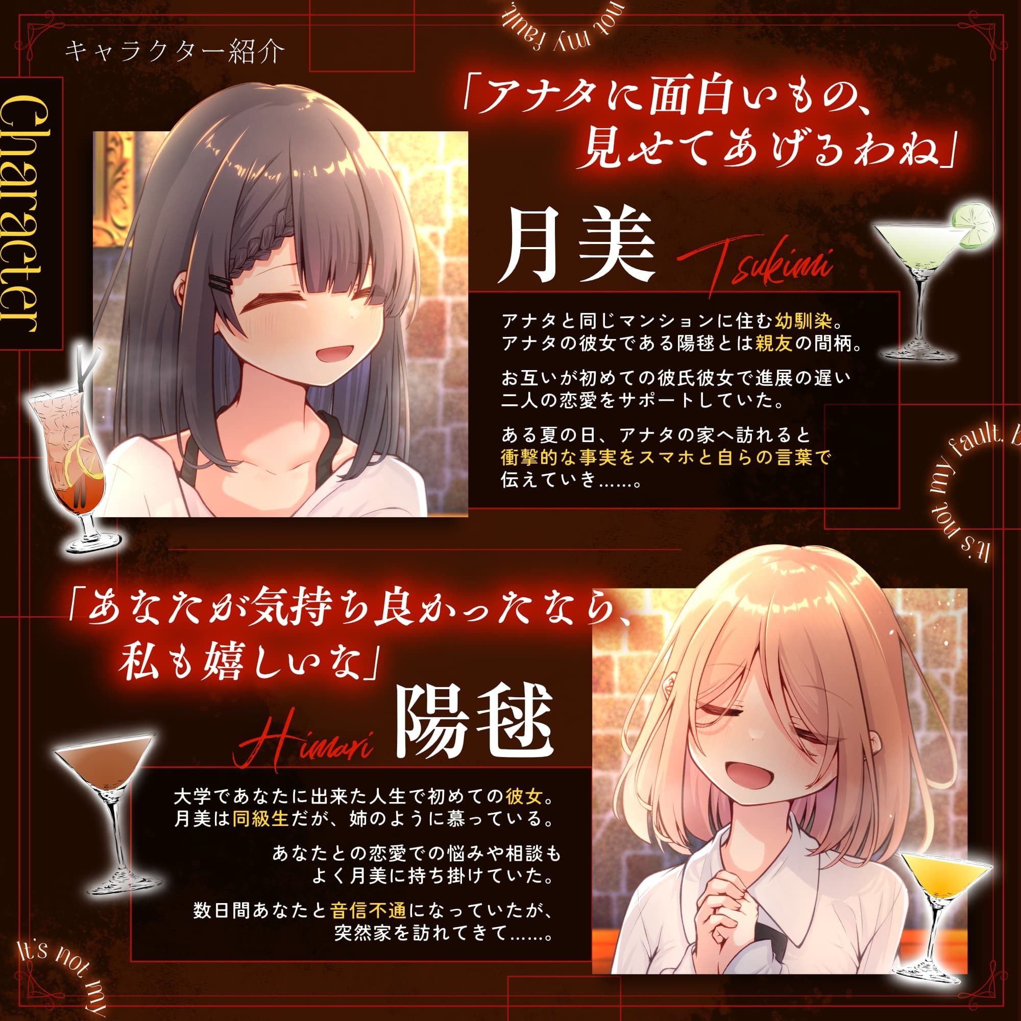 私は悪くないのに… Before and after 〜壊し、壊された初恋の思い出〜