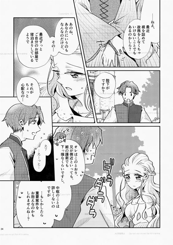 白い結婚‐王と王妃の恋ものがたり2‐