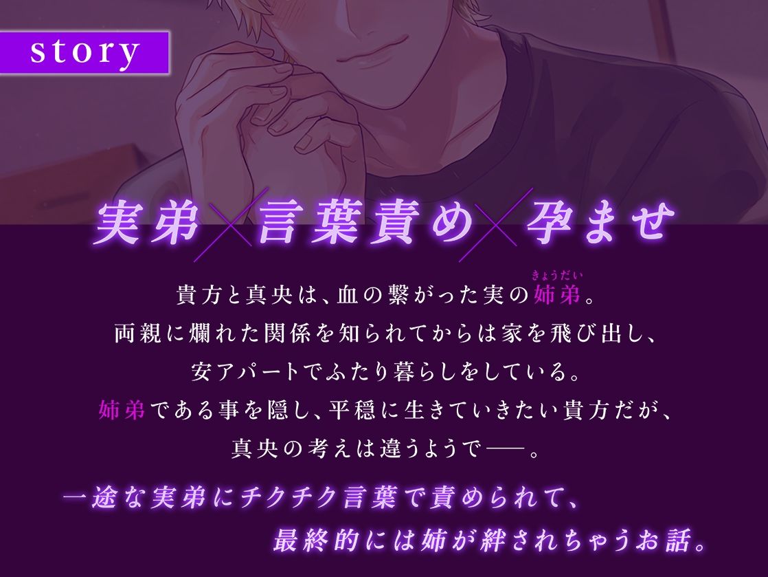 素直になってよ、お姉ちゃん。〜嘘つきな姉と一途な弟が結ばれるまでのお話〜