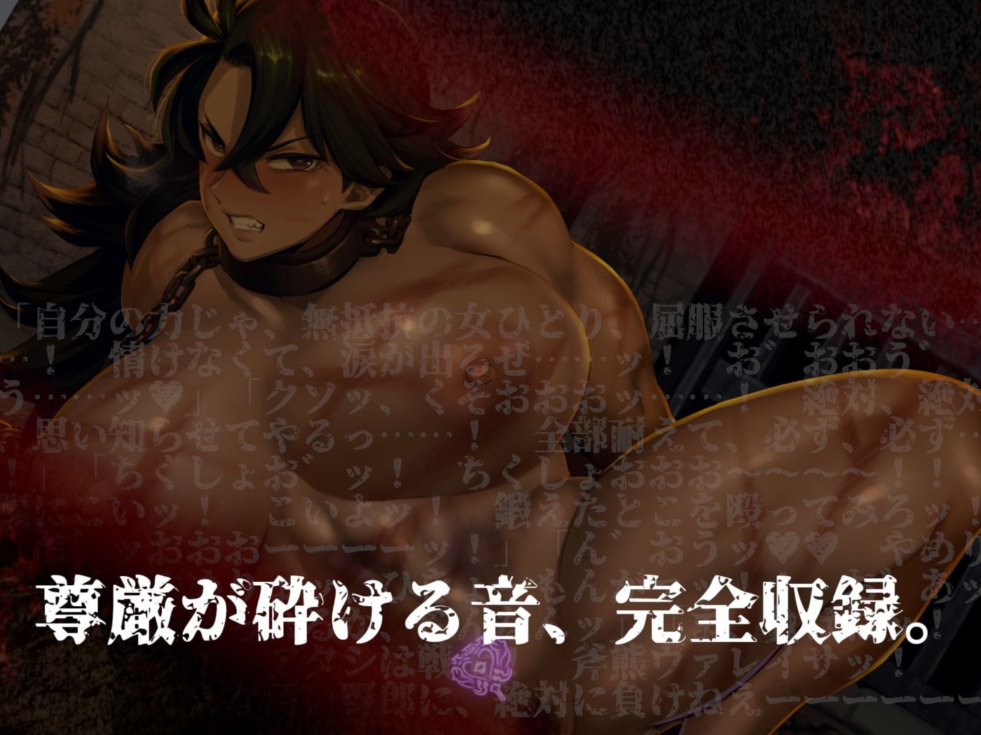 牝畜敗隷ヴァレイサ【しつけ用オホ声ガイダンス付属】