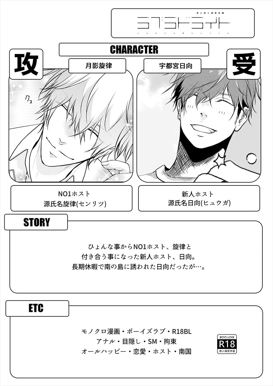 ラブラドライト