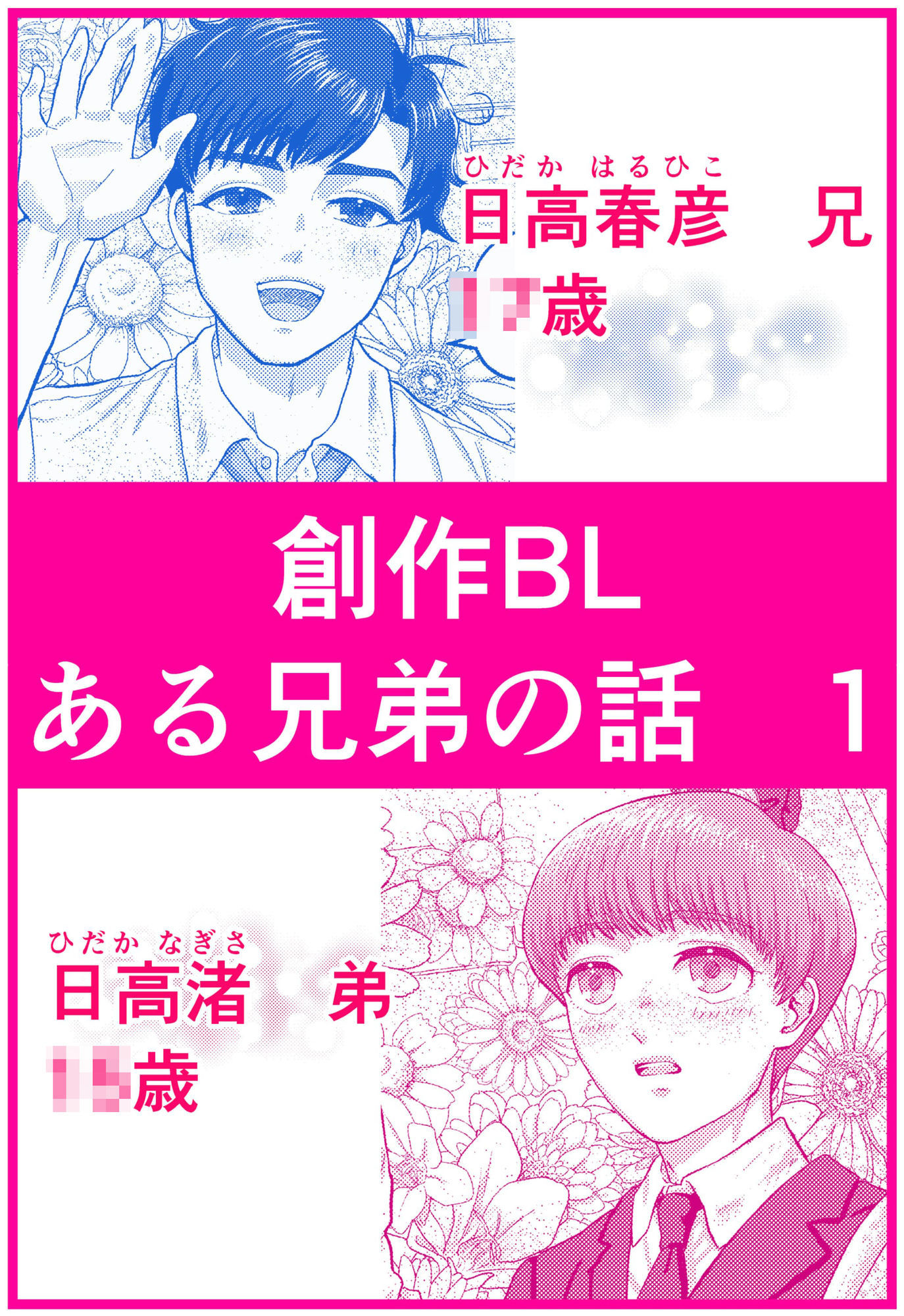 ある兄弟の話 1