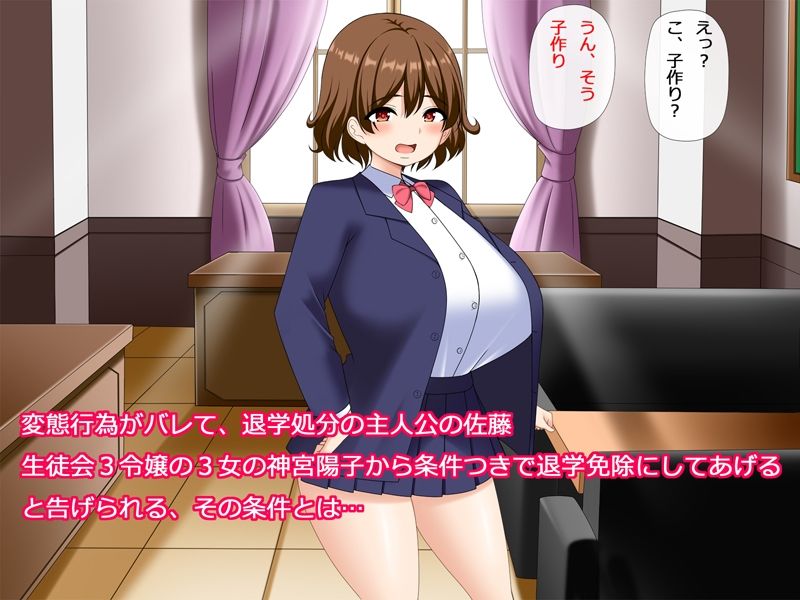 僕は生徒会令嬢の孕ませ担当〜孕ませるまでの全記録〜