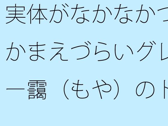 実体がなかなかつかまえづらいグレー靄（もや）のトンネルの中を 細微が問題になる