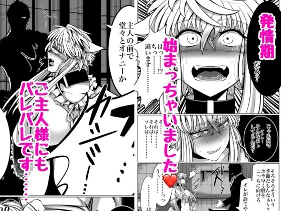 発情期↓本能堕ち↓生交尾