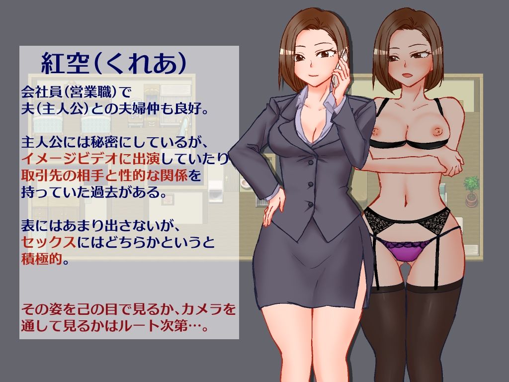 出張 帰宅 妻 カメラ