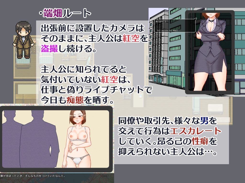 出張 帰宅 妻 カメラ