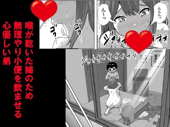 息子の性処理に悩む家庭の話