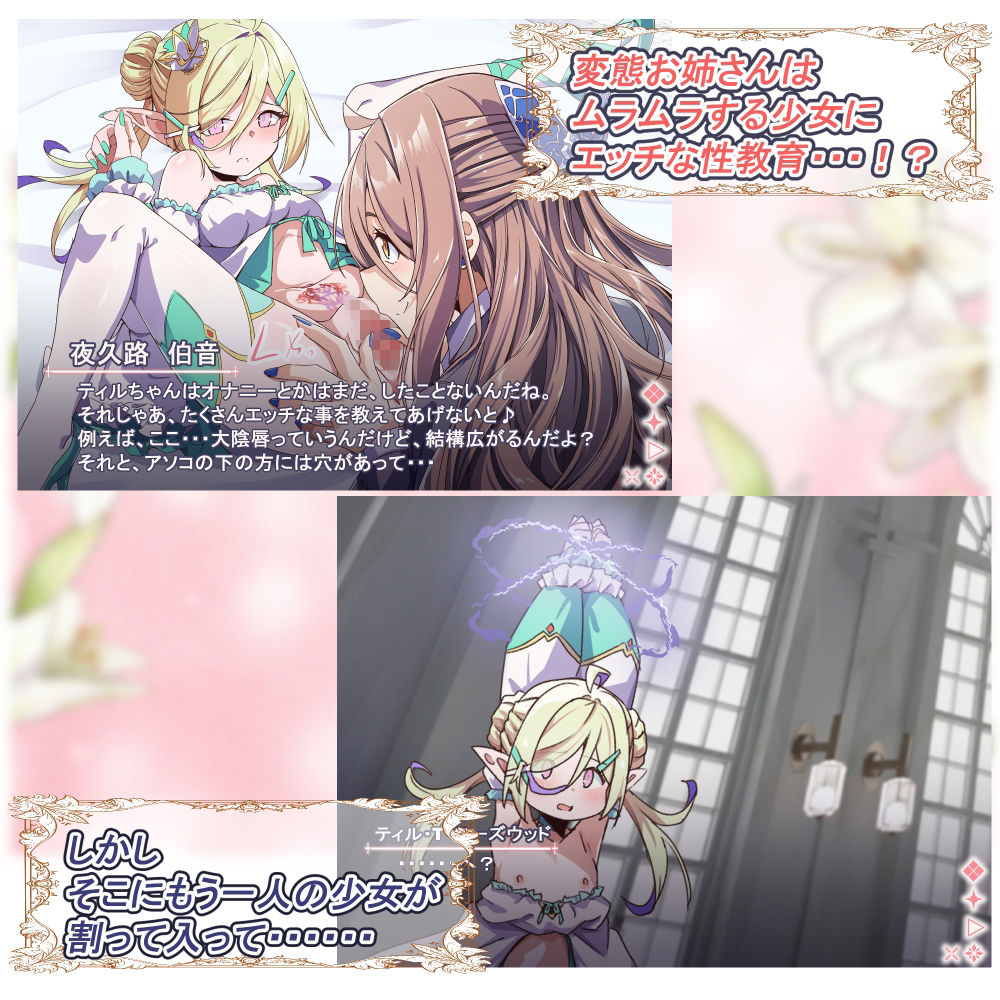 Project Meerverce Series5 つるぺたエルフを襲ってつるぺたサキュバスに襲われるヘンタイお姉さんの話