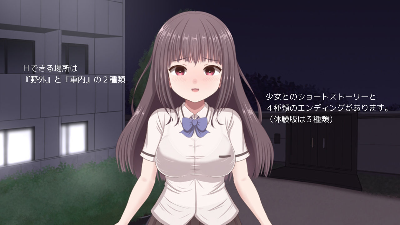 無理やりHシミュレーション〜家出少女を凌●〜
