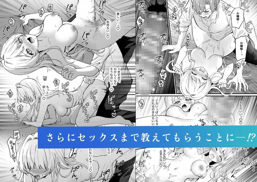 性に無知なお嬢様、生真面目執事に性教育される