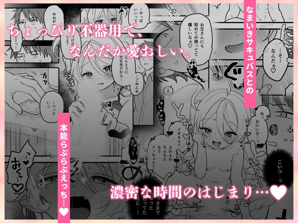 生意気処女サキュバスを拾ってしまいました