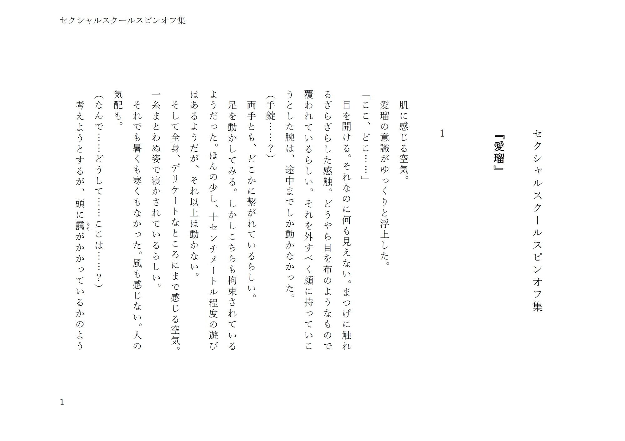 セクシャルスクールスピンオフ集