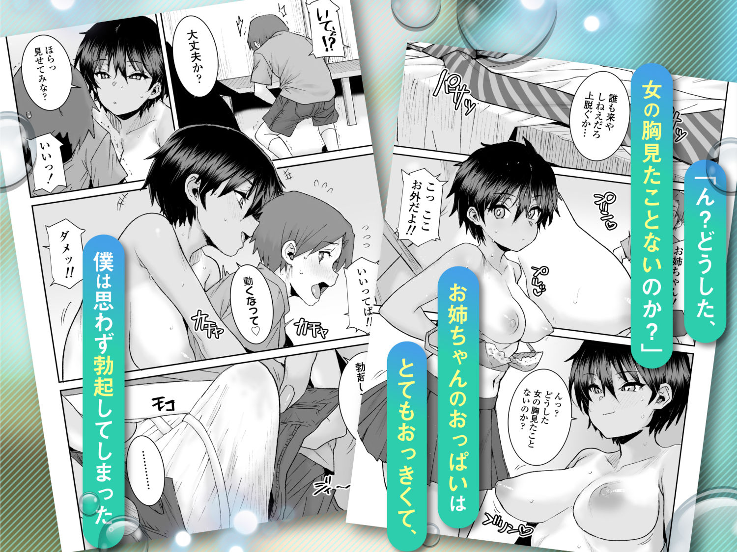 無口で気の強いボーイッシュなお姉ちゃんで僕は童貞を卒業しました