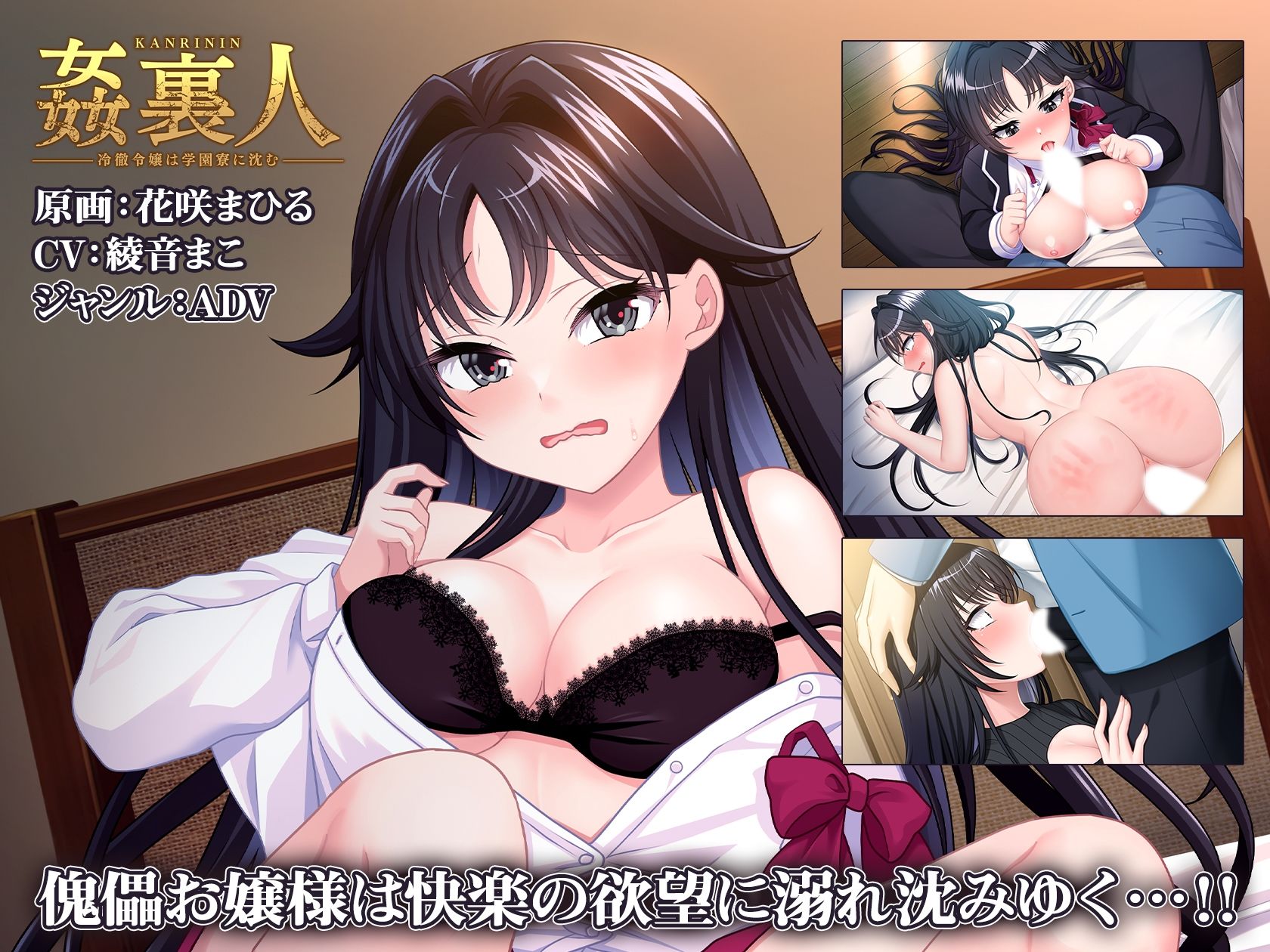 姦裏人 冷徹令嬢は学園寮に沈む【壁紙おまけ付】