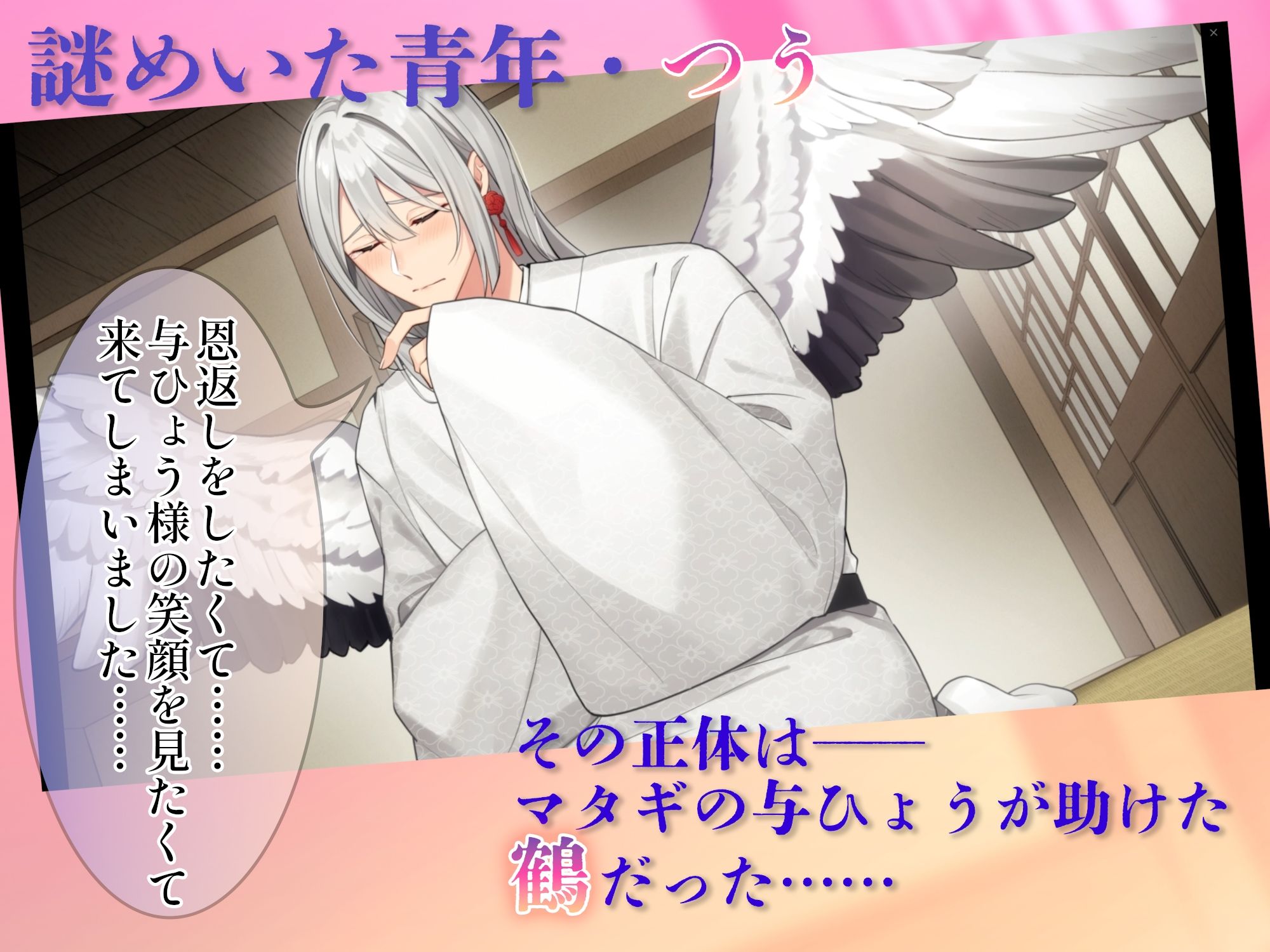 《Live2Dアニメ》敏感エロ鶴のえっちなカラダで恩返し〜絶頂体質メスお兄さんと種付け絶倫交尾〜
