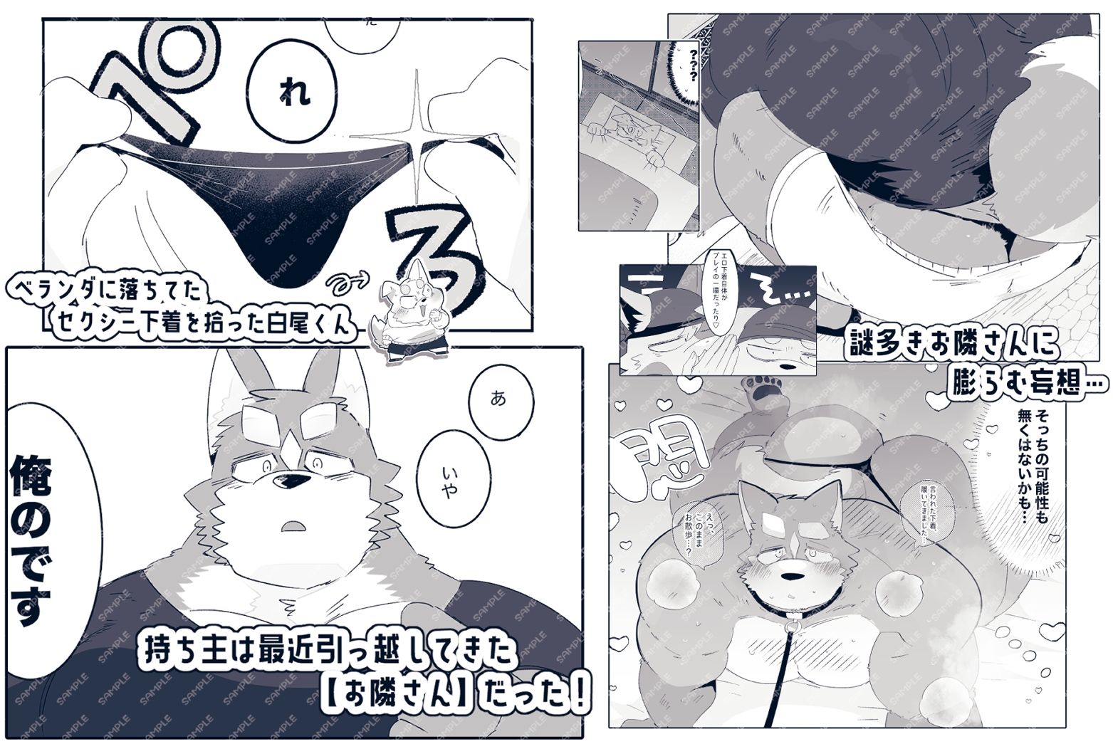 ヒミツのお隣さん