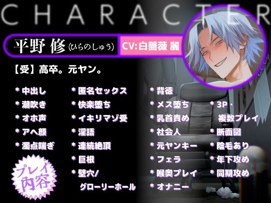 穴付個室 元ヤンカントボーイ ビデオ試射室へ【ボイスドラマ版】