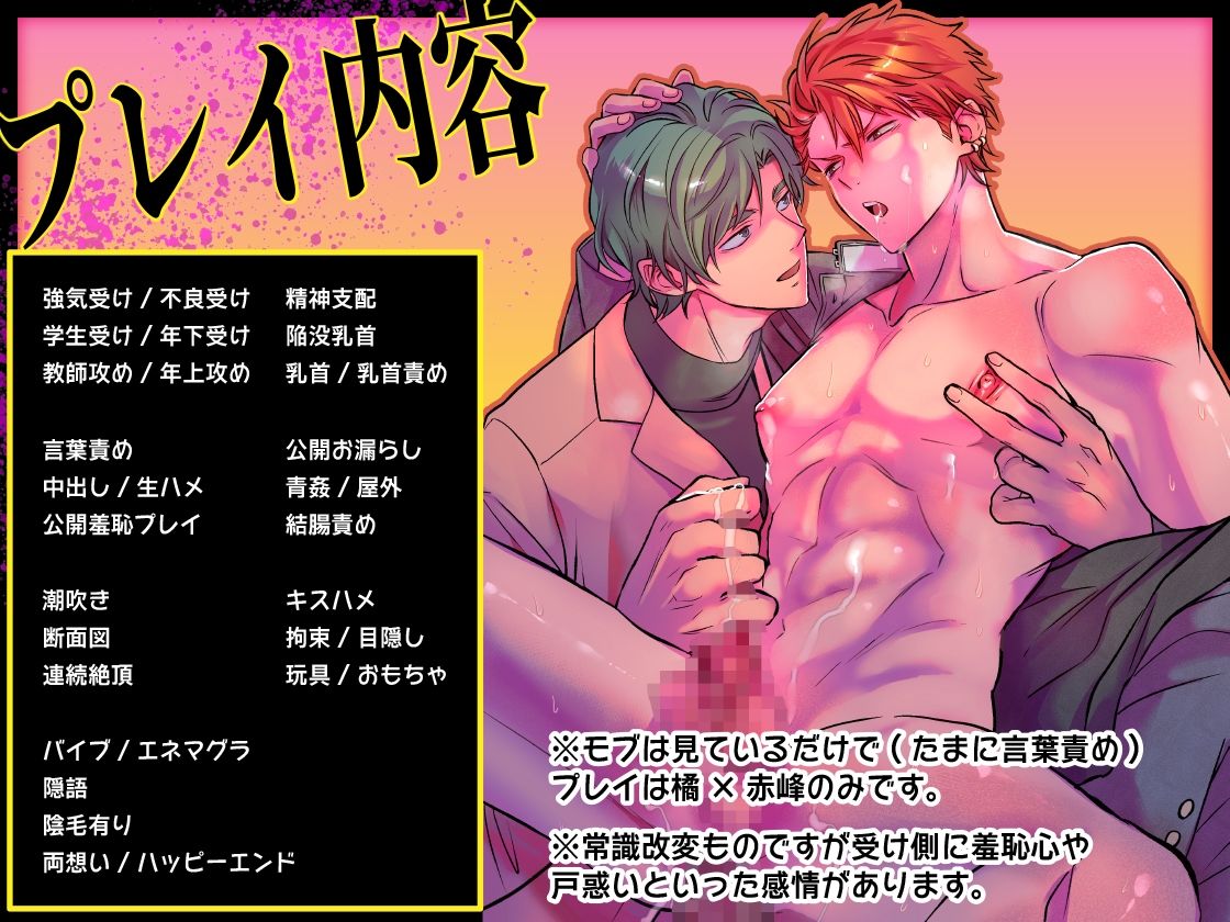 -常識改変-異常な日常 ［生意気ヤンキー1ヶ月間犯し放題］【フルボイス動画版】