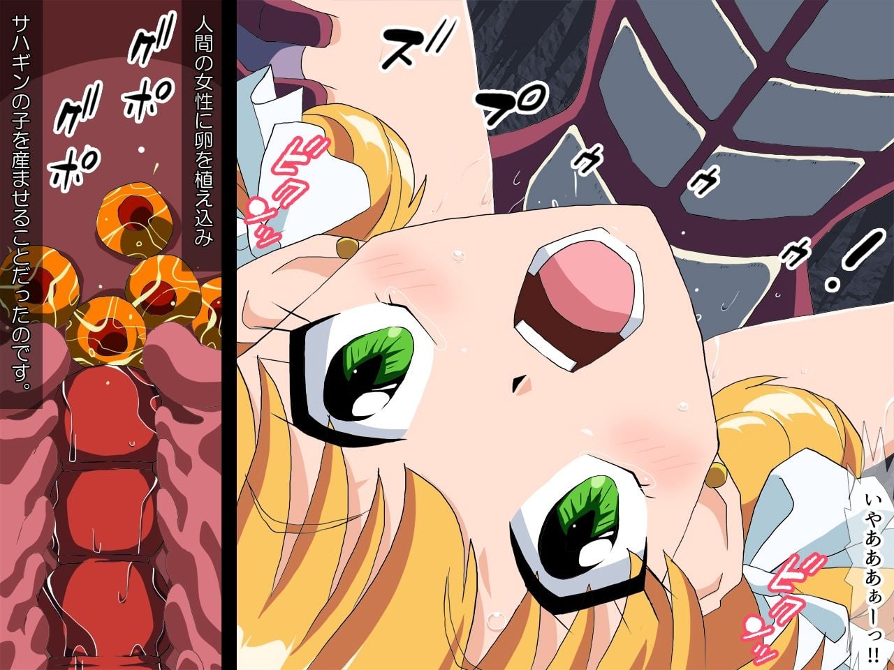 魔法少女孕む サハギンの子