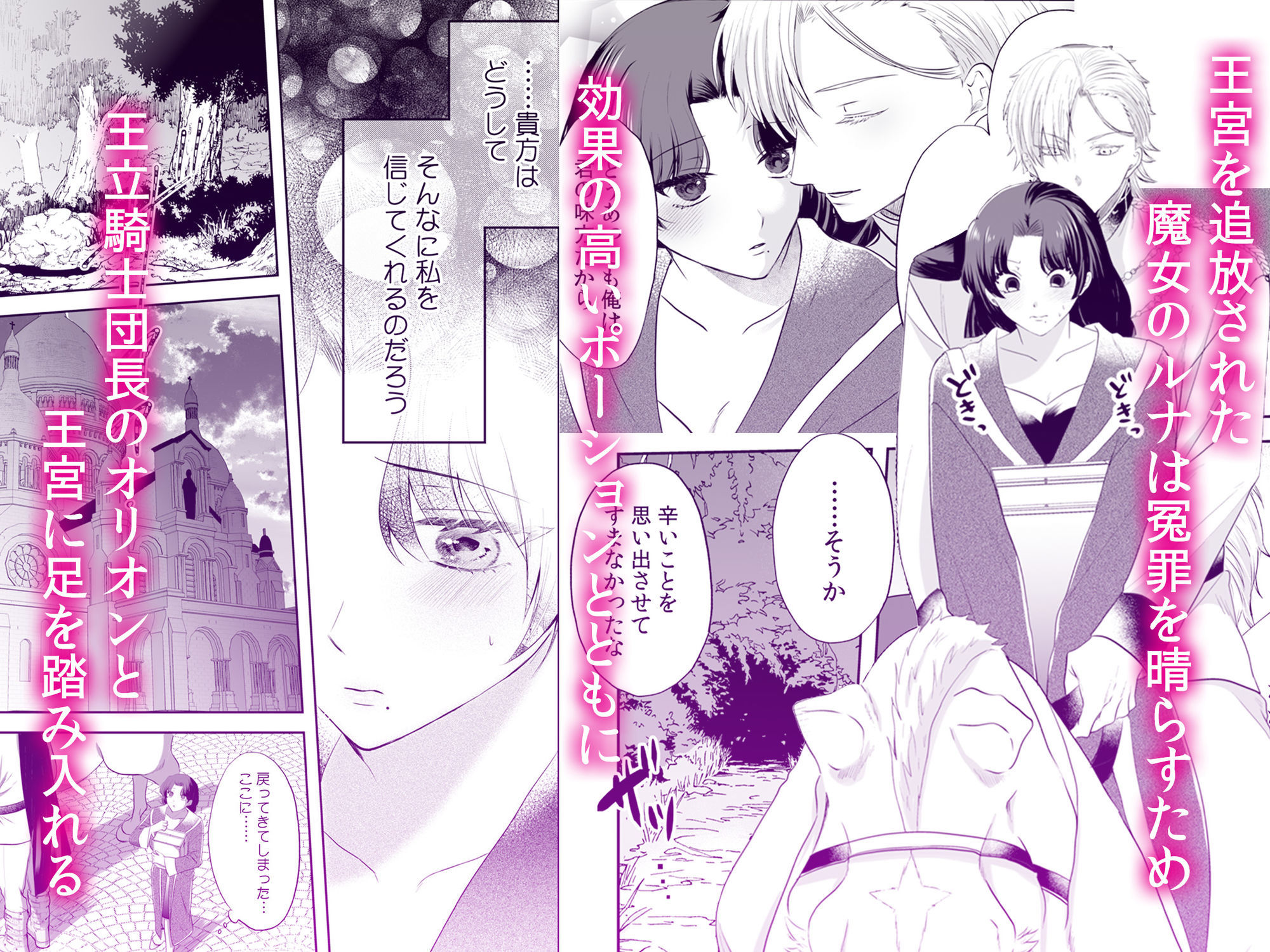 追放魔女は冷酷騎士の重すぎる愛に気付かない〜何度イッても終わらない暴走発情エッチ〜 2