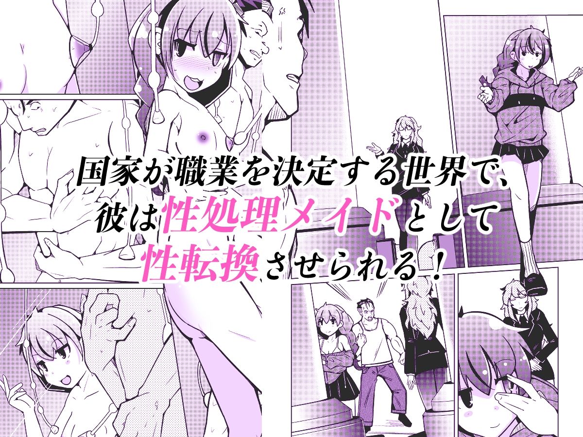 国家による性別交換 俺の適正職は性処理メイド、彼女は…