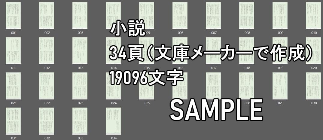 【艦〇れ】響 建造番号一三八 小説セット