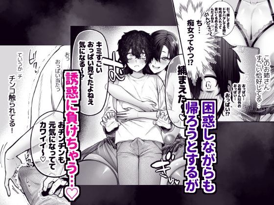 優等生のショタが隣のお姉ちゃんに交尾教わってヤリチンクズ化する話