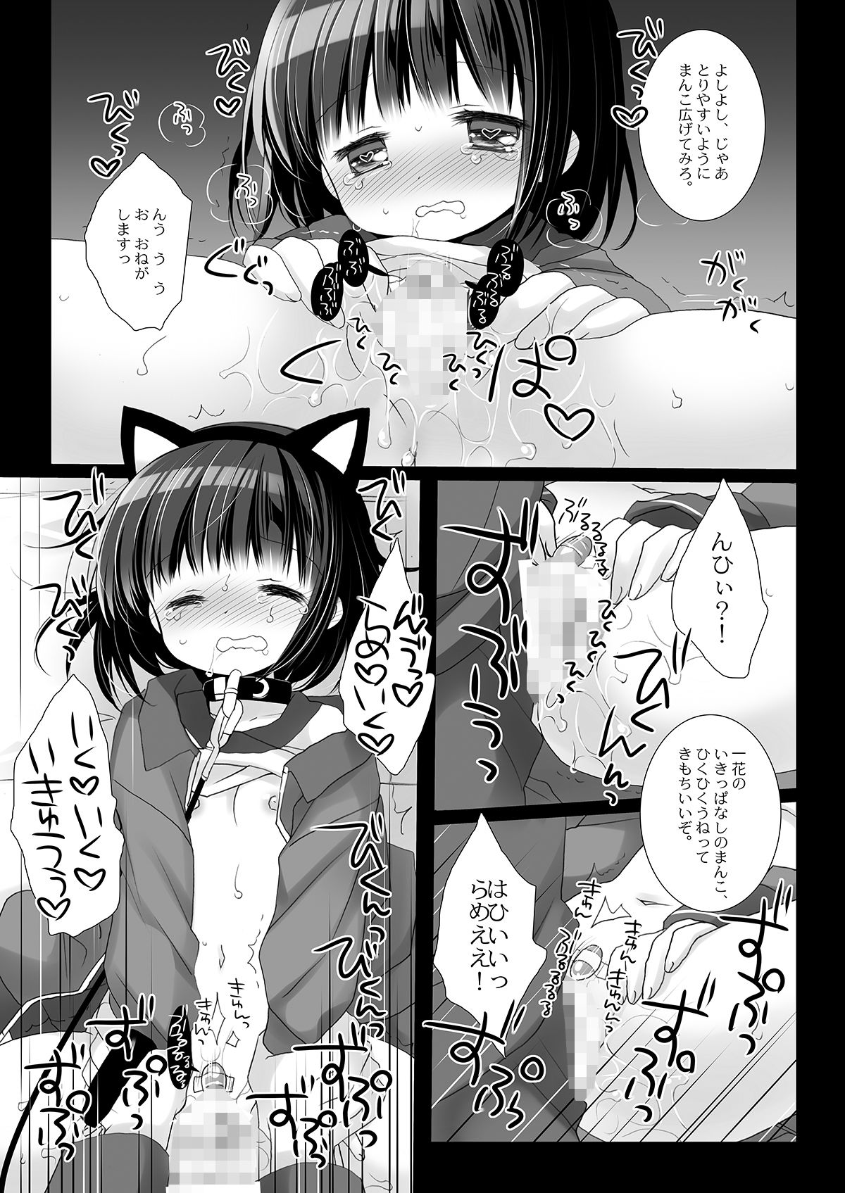 愛玩調教＋AFTER -桜沢いづみSIDE-