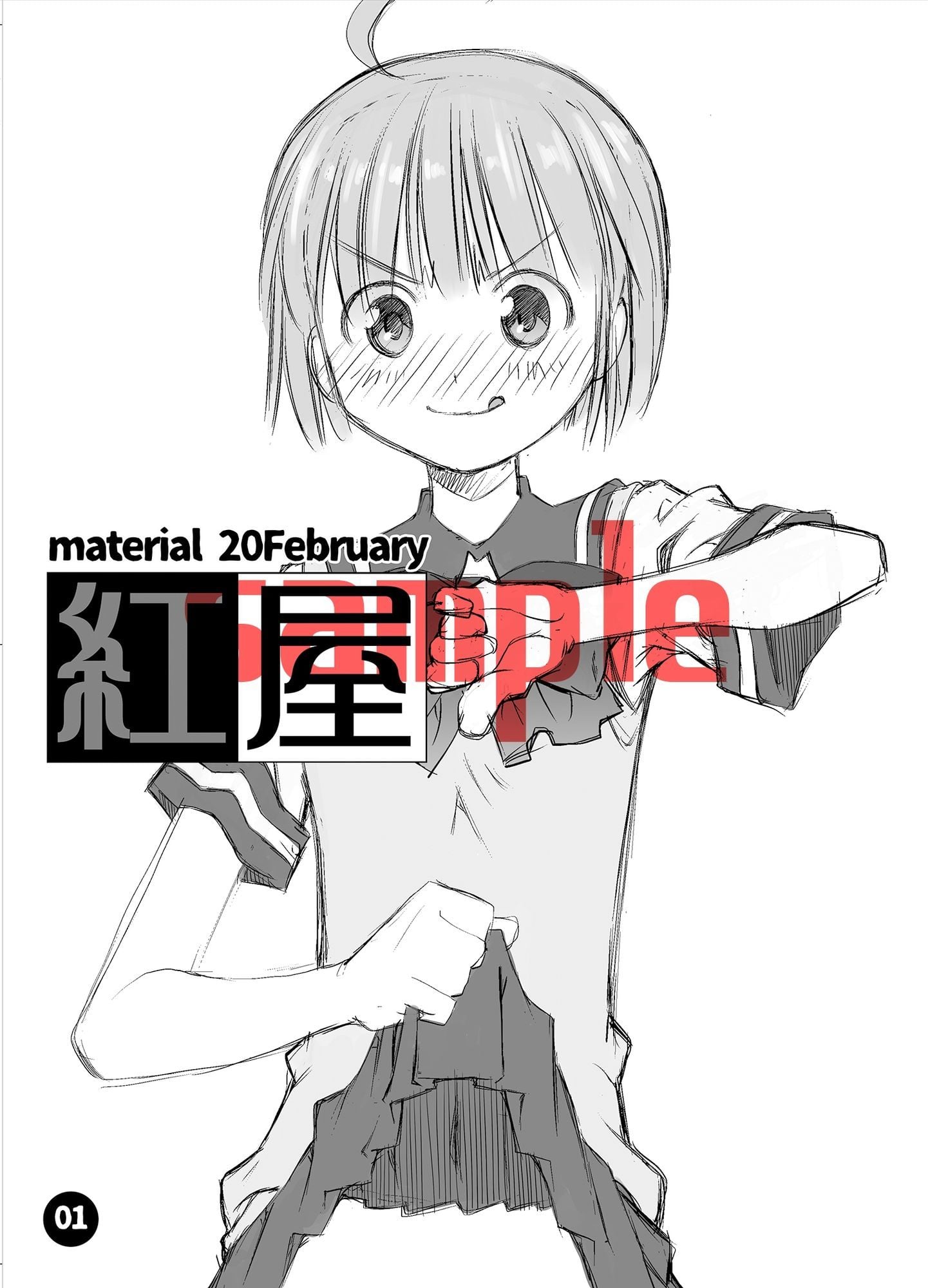 material20February
