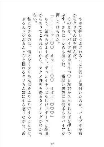 私に激重感情を抱く義弟のクリボックス開発に協力しているうちに身も心も堕とされる話