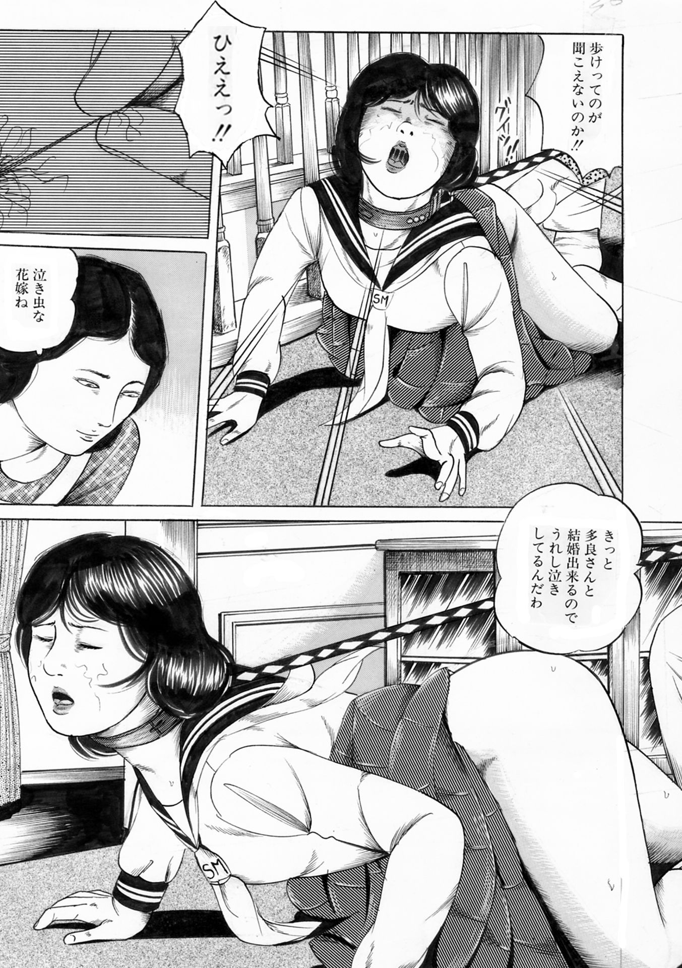 夜生奇久作品集10 愛奴少女2作品