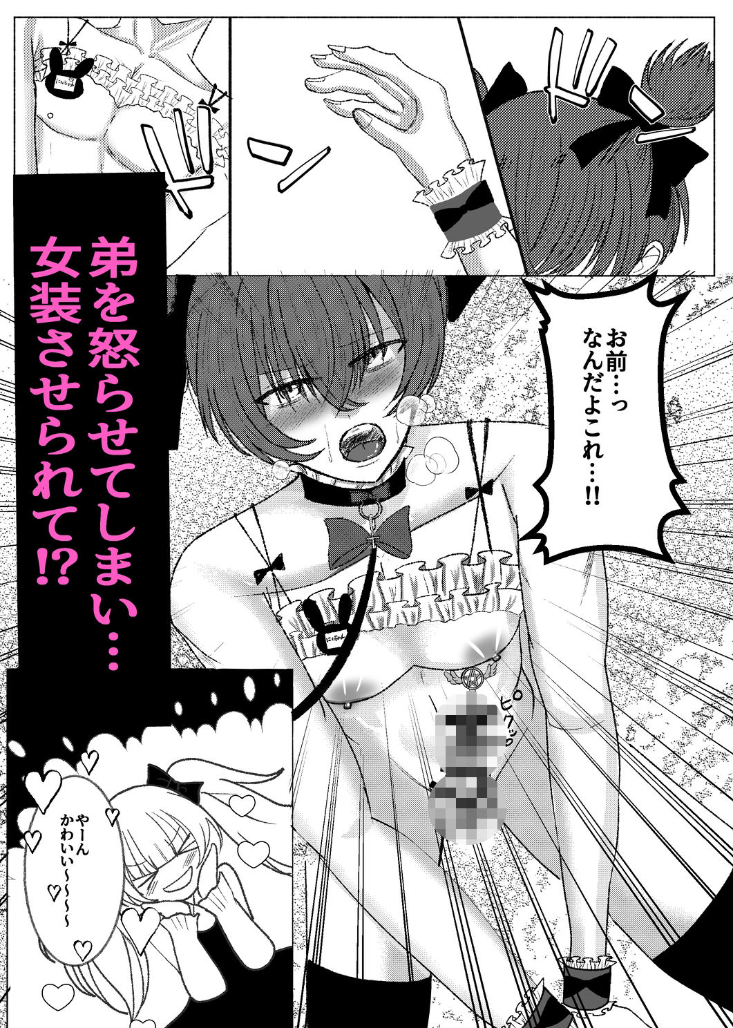 かわいい男の娘弟に俺が男の娘にされる話