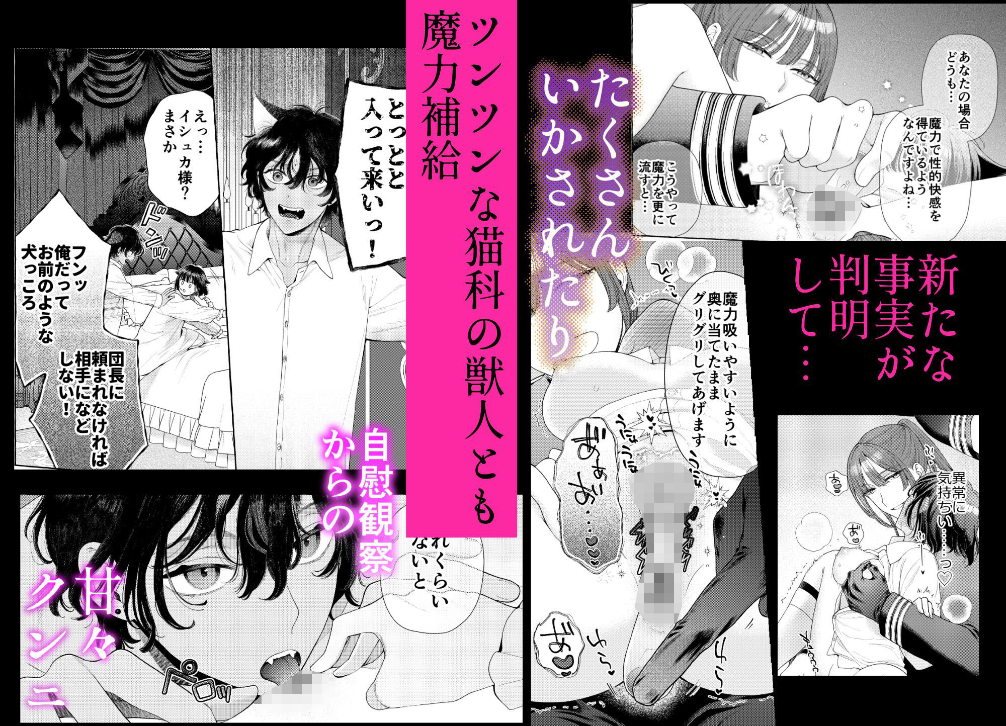 騎士団のわんわん