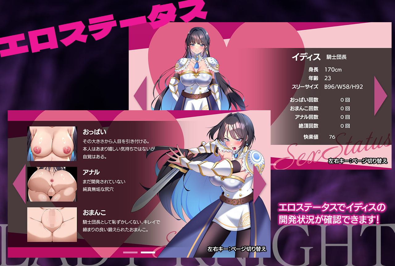 レディーナイト-淫魔の迷宮-