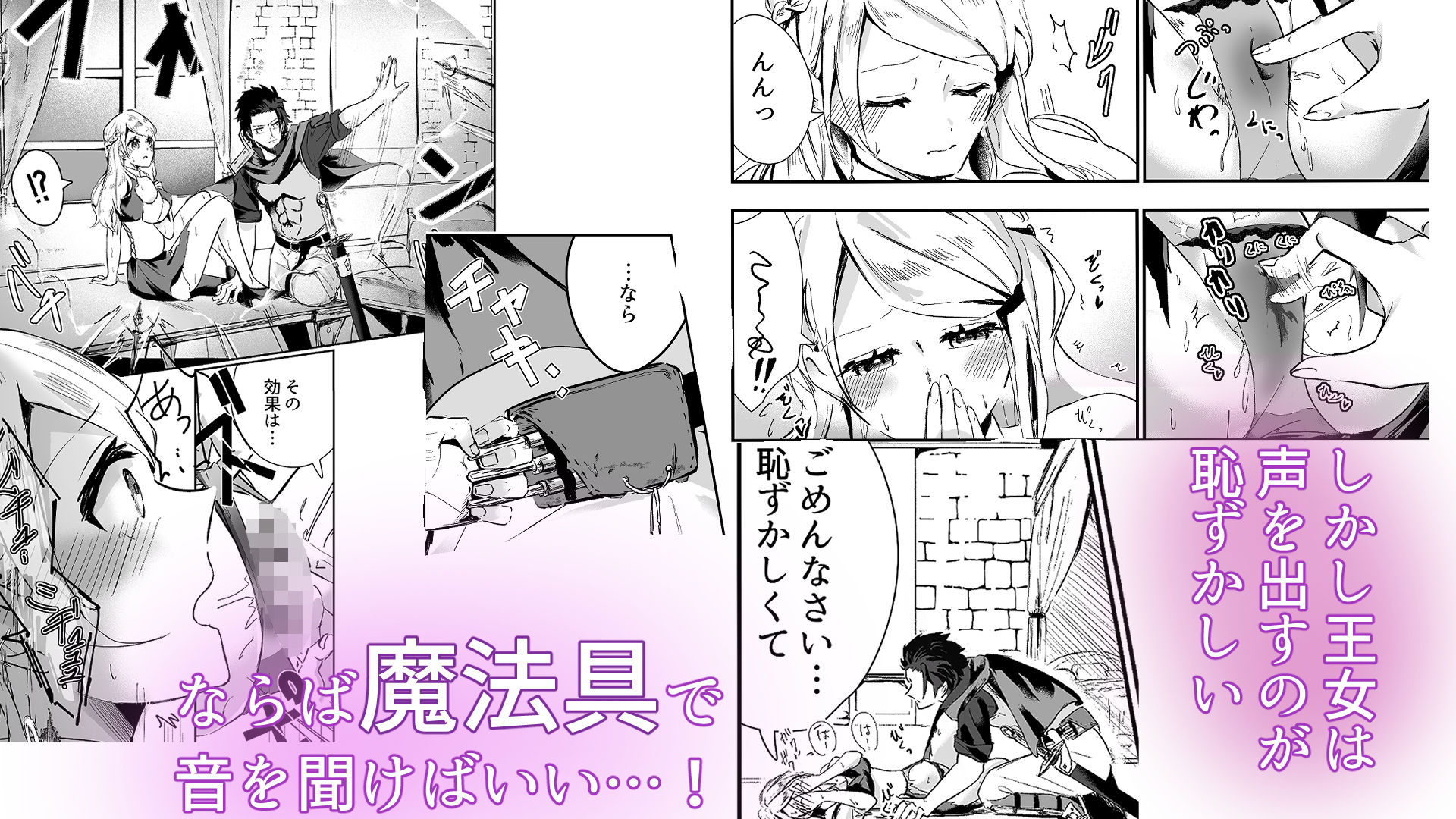 とある国の王女様を音反響と断面図直見せでイかせる話