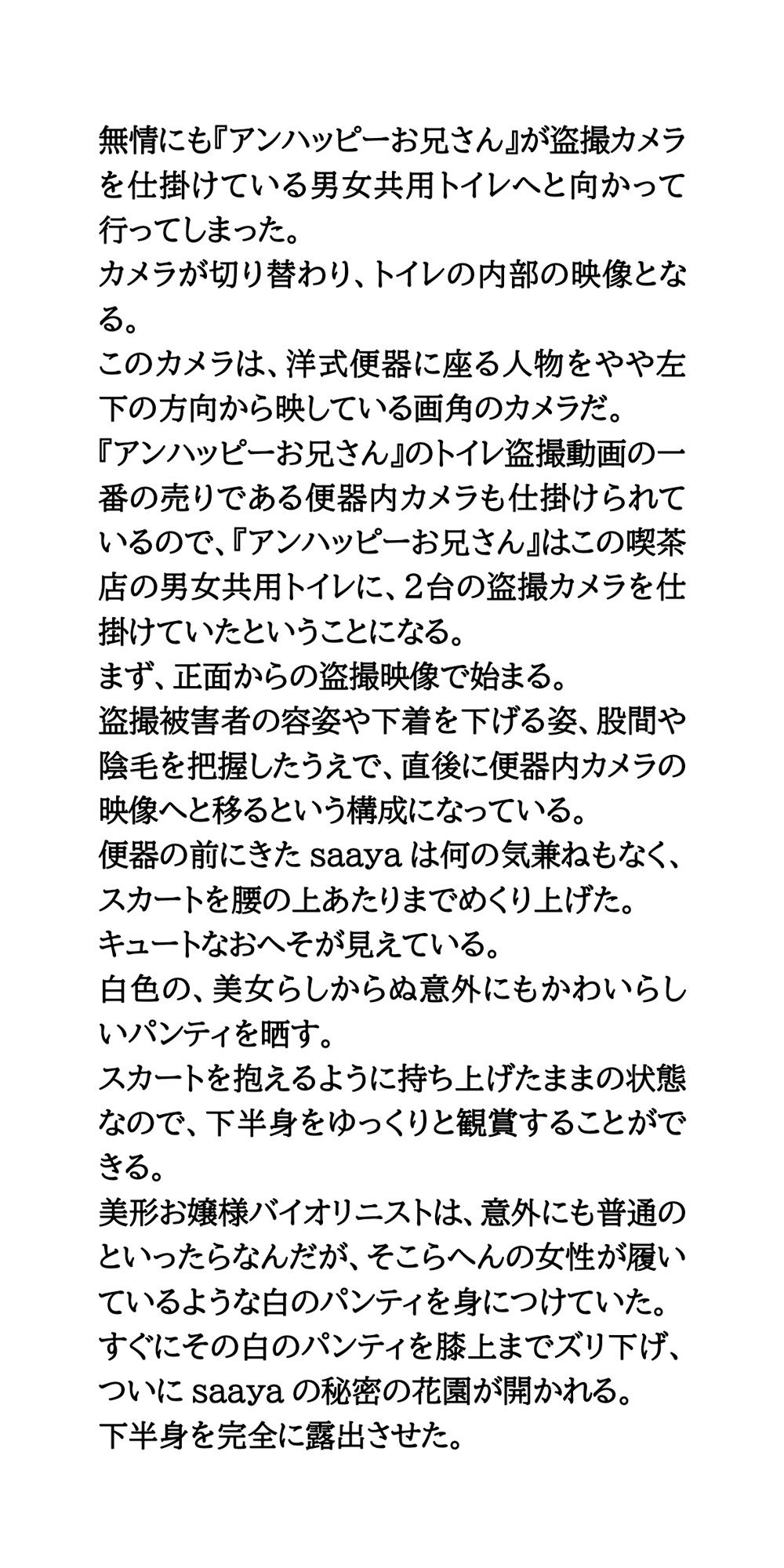 【身近に潜む現代の闇】実際に起こった盗撮事件簿（2）。美人バイオリニスト、トイレ盗撮事件