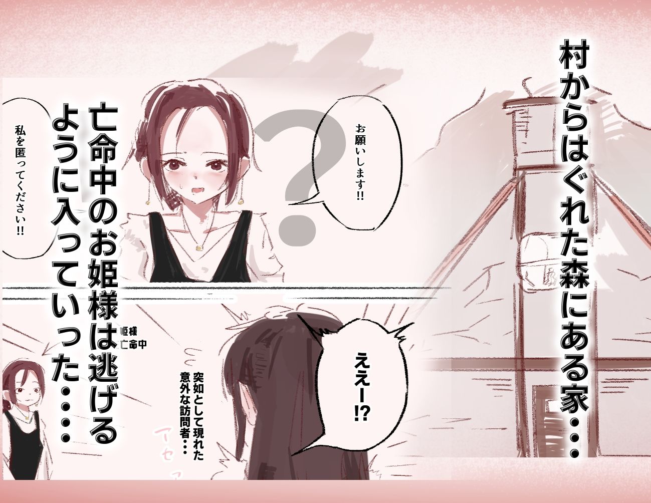 亡命お姫様はふたなりお姉さんのオナホ