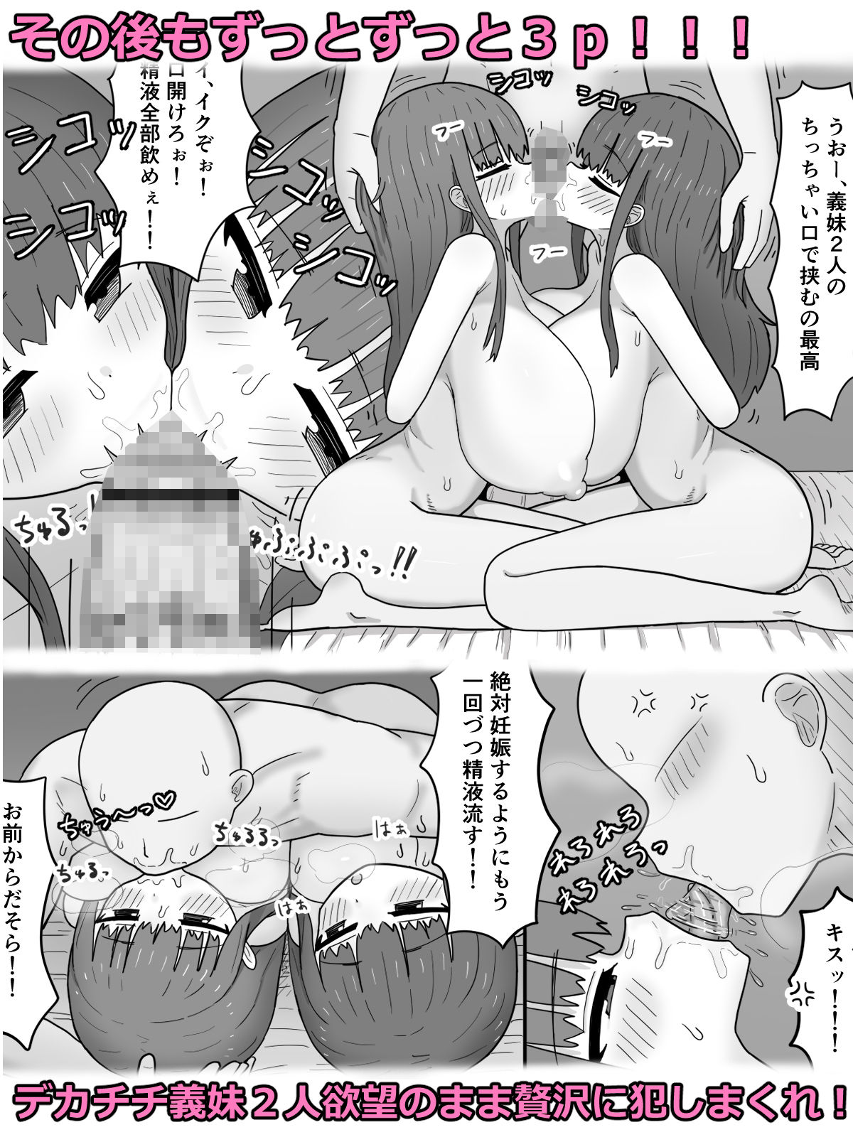 家で飼ってる引きこもり巨乳義妹×2と勢いで孕ませエッチした
