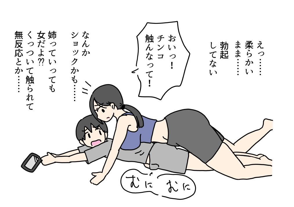 口うるさい姉にチンコ入れて大人しくさせる話