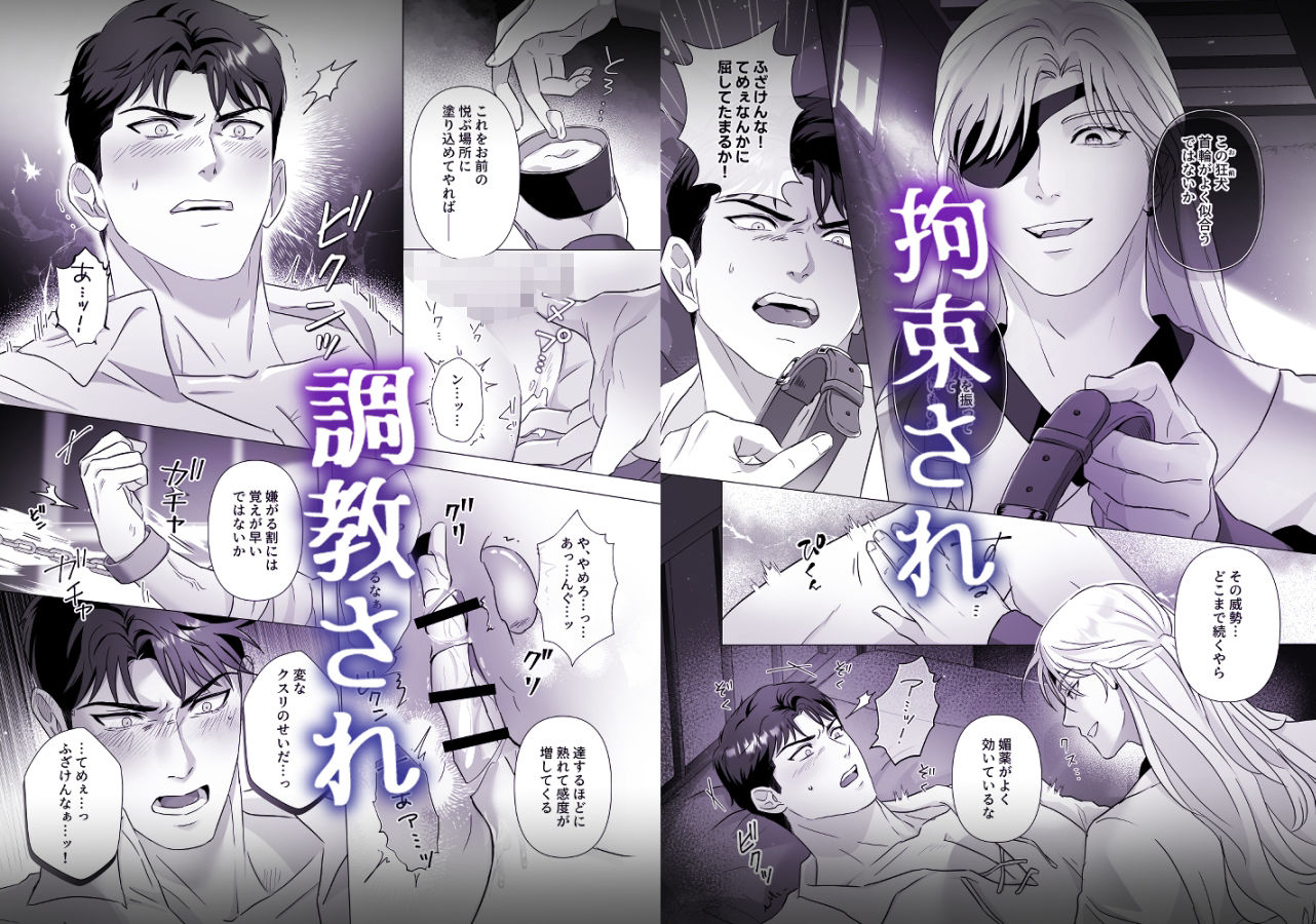 筋肉ヤ●ザアンソロジー 蹂躙コレクション