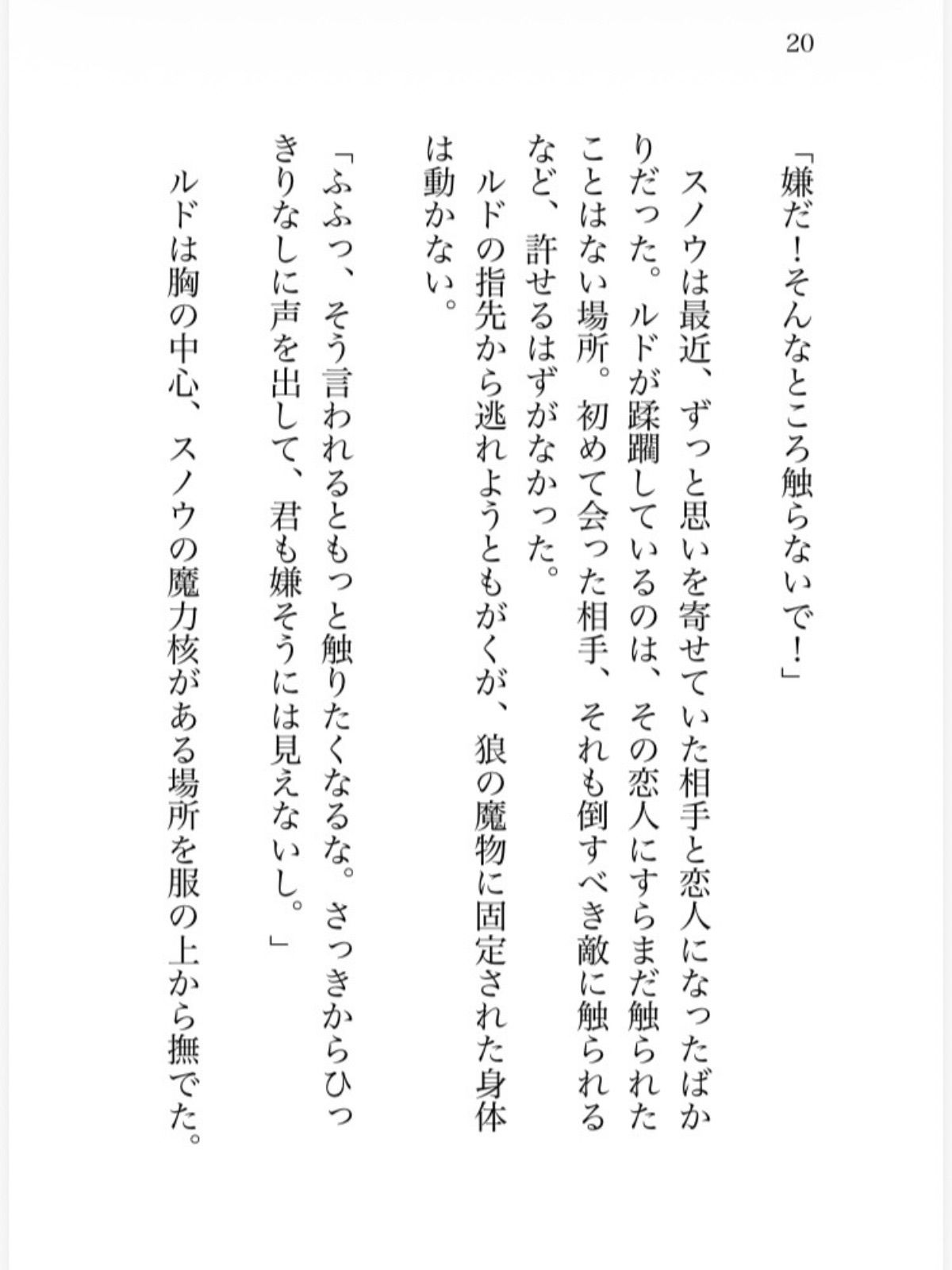 氷の魔法少女は魔族幹部の執着熱に甘く溶かされる