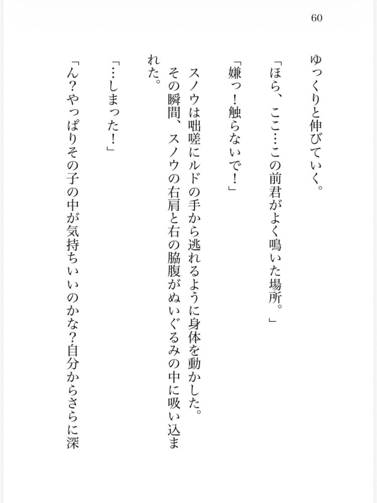 氷の魔法少女は魔族幹部の執着熱に甘く溶かされる
