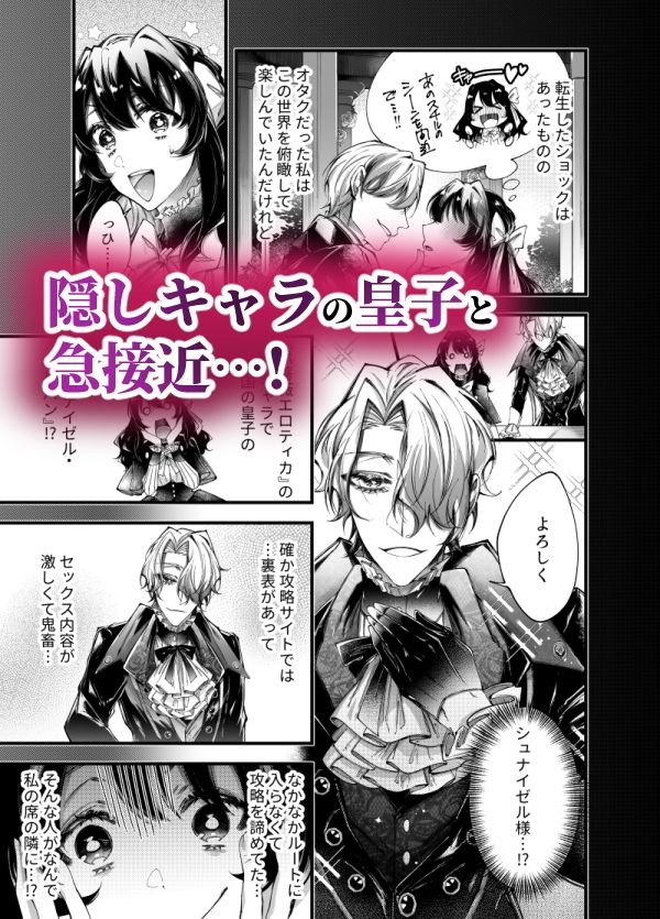 転生したら闇堕ち皇子の裏ルートに入りました