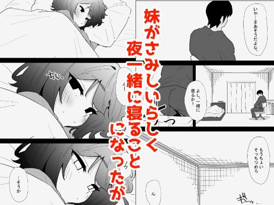 家の風紀は乱れてる!-実妹編-