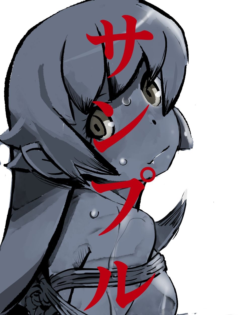 化物語ヒロイン SM緊縛画集