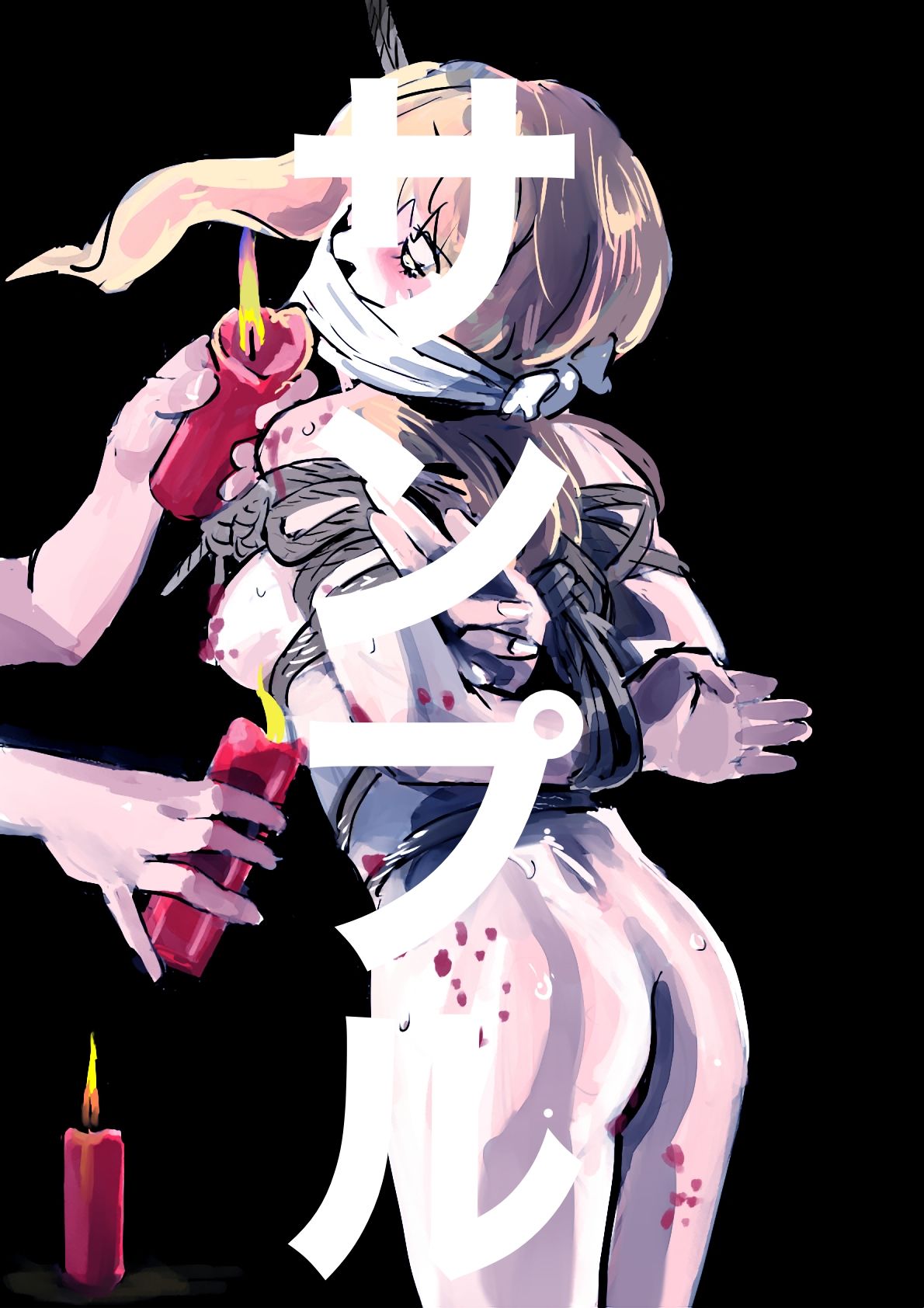 マクロスフロンティア ヒロイン SM緊縛画集