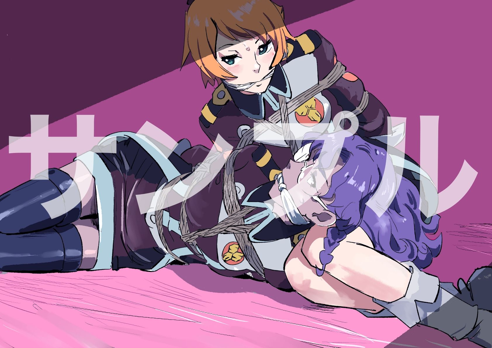 マクロスフロンティア ヒロイン SM緊縛画集